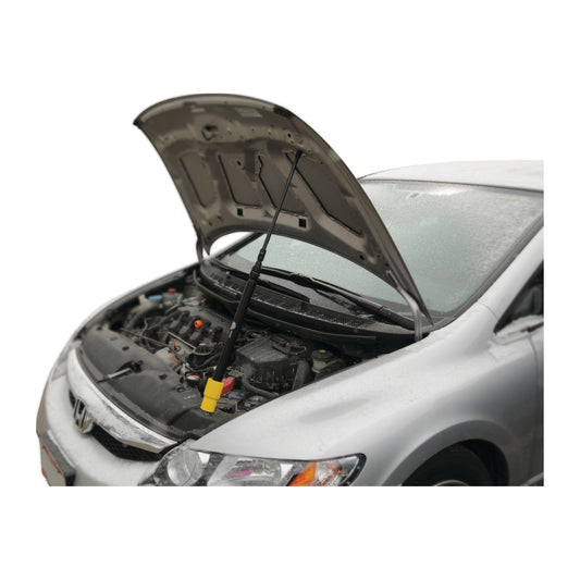 Hood Prop with Support